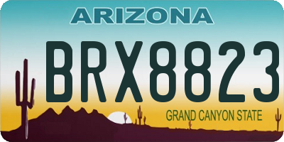 AZ license plate BRX8823