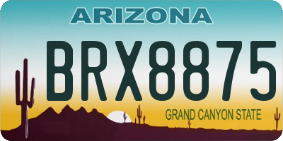 AZ license plate BRX8875