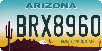 AZ license plate BRX8960