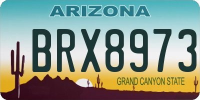 AZ license plate BRX8973