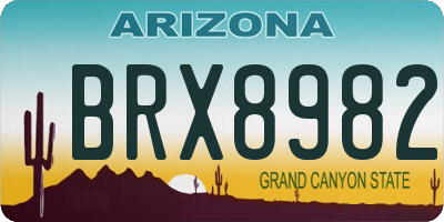 AZ license plate BRX8982