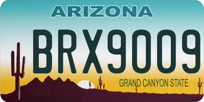 AZ license plate BRX9009