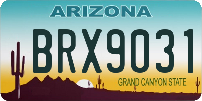 AZ license plate BRX9031