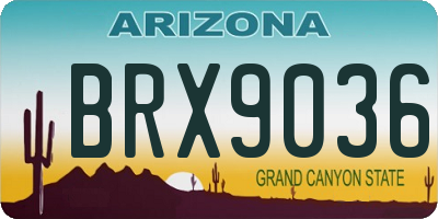 AZ license plate BRX9036