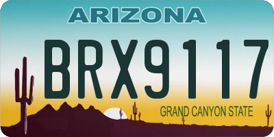 AZ license plate BRX9117