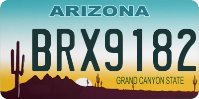 AZ license plate BRX9182