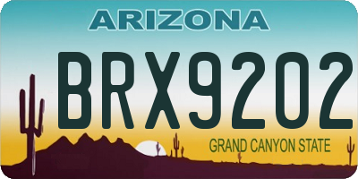 AZ license plate BRX9202