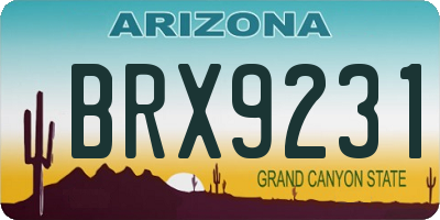 AZ license plate BRX9231