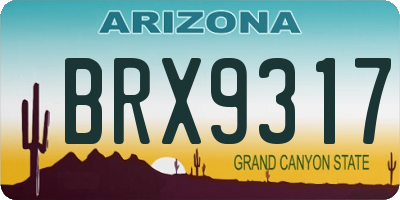 AZ license plate BRX9317
