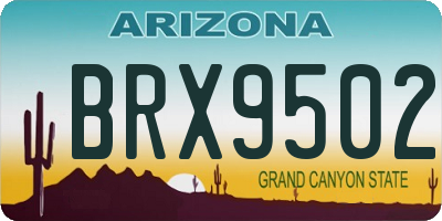 AZ license plate BRX9502