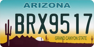 AZ license plate BRX9517