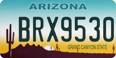 AZ license plate BRX9530