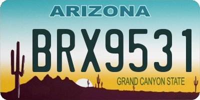 AZ license plate BRX9531