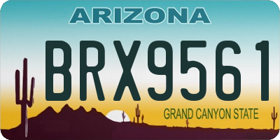 AZ license plate BRX9561