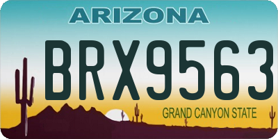 AZ license plate BRX9563