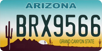 AZ license plate BRX9566