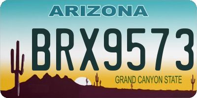 AZ license plate BRX9573