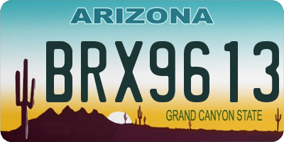 AZ license plate BRX9613
