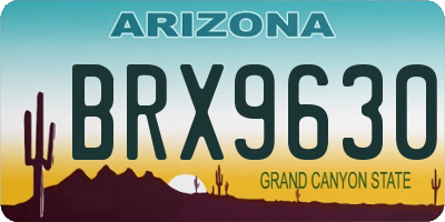 AZ license plate BRX9630