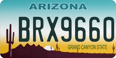 AZ license plate BRX9660