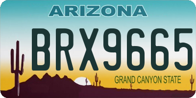 AZ license plate BRX9665