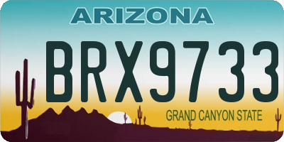 AZ license plate BRX9733