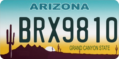 AZ license plate BRX9810