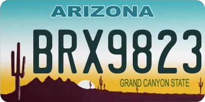 AZ license plate BRX9823