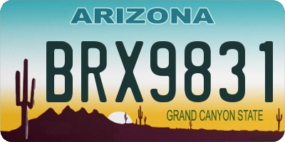 AZ license plate BRX9831