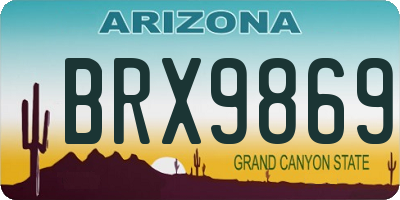 AZ license plate BRX9869
