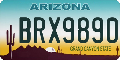 AZ license plate BRX9890