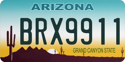 AZ license plate BRX9911