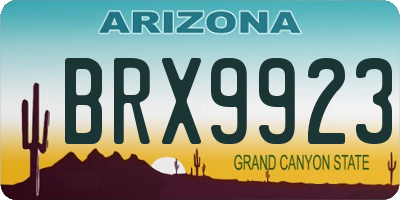 AZ license plate BRX9923
