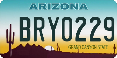 AZ license plate BRY0229