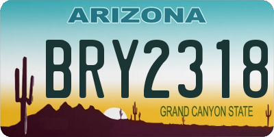 AZ license plate BRY2318