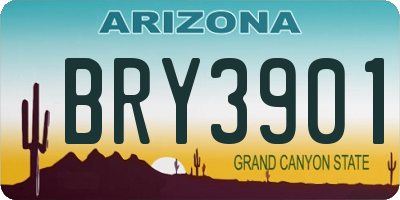 AZ license plate BRY3901