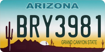 AZ license plate BRY3981