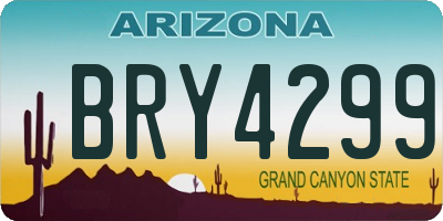 AZ license plate BRY4299