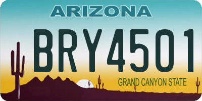 AZ license plate BRY4501