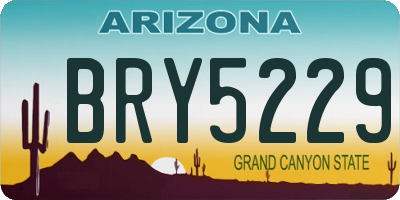 AZ license plate BRY5229