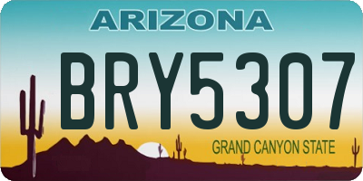AZ license plate BRY5307