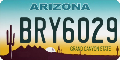 AZ license plate BRY6029