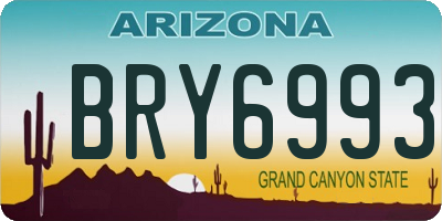 AZ license plate BRY6993
