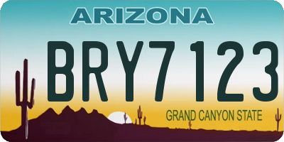 AZ license plate BRY7123