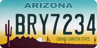 AZ license plate BRY7234