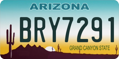 AZ license plate BRY7291