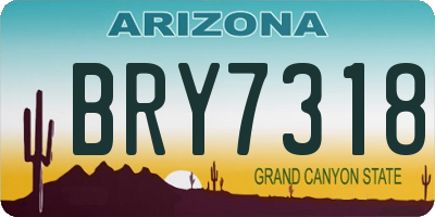 AZ license plate BRY7318