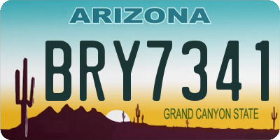 AZ license plate BRY7341