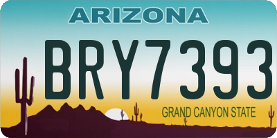 AZ license plate BRY7393