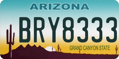 AZ license plate BRY8333